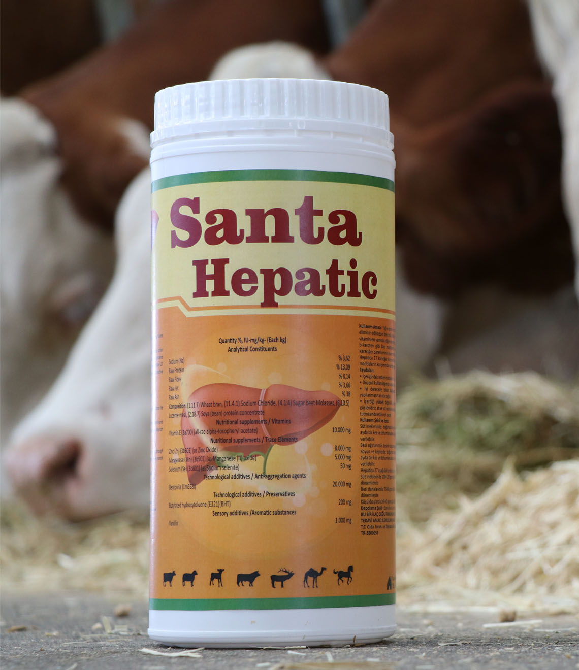 Santa Hepatic