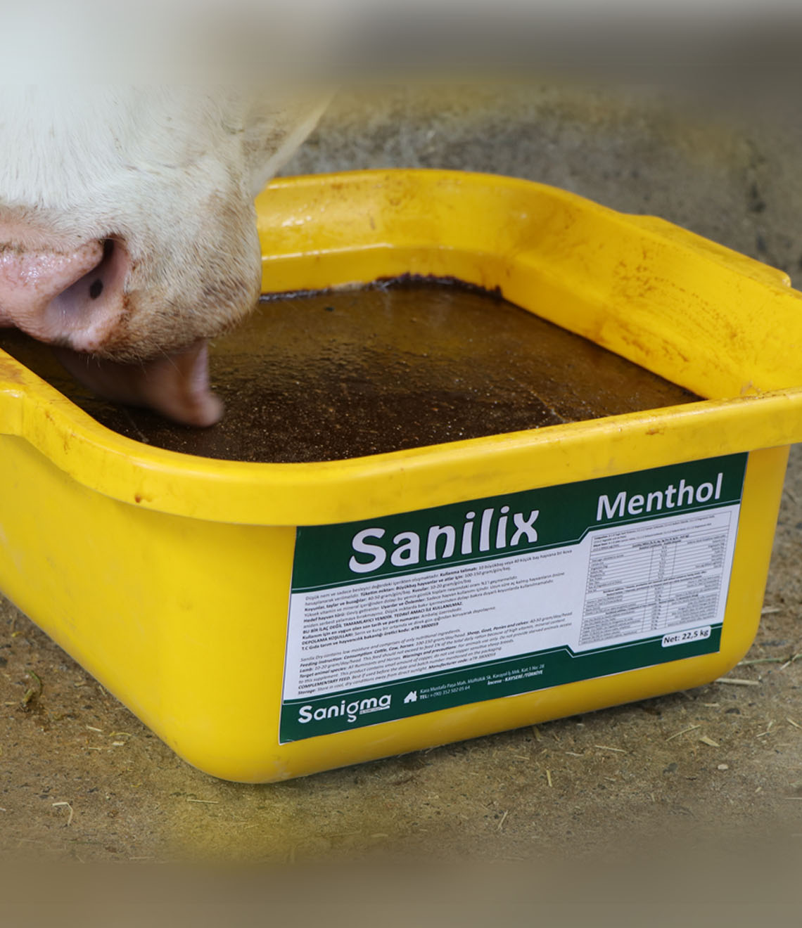 Sanilix Menthol