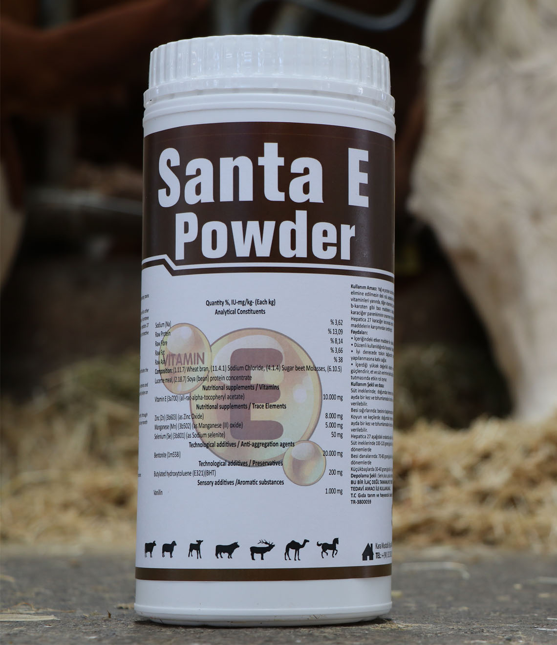 Santa E Powder