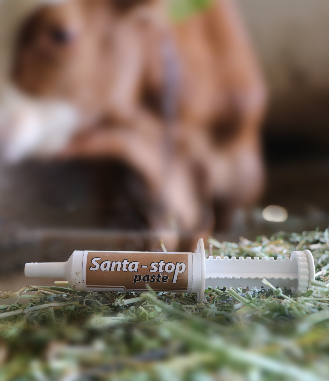 Santa-Stop