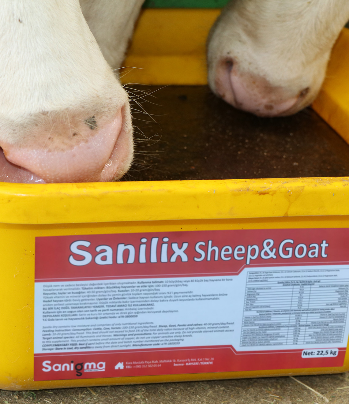 Sanilix Sheep & Goat